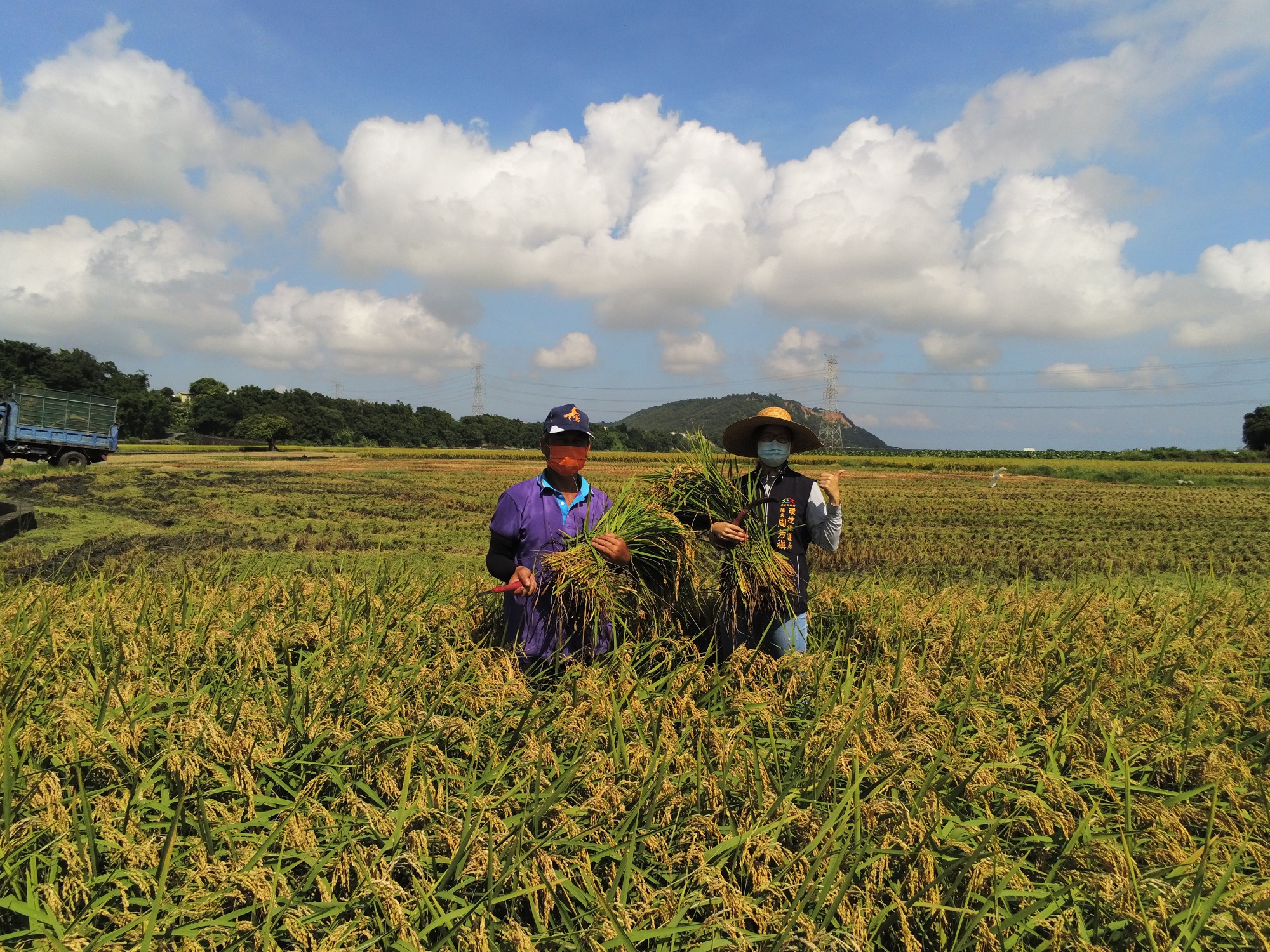 台中市政府今年首次與外埔區當地有機稻米耕作農民合作試驗，施以外埔綠能生態園區沼渣產製的農委會認證肥料「就是肥」，其有機質高達85%，可稱為「農作物的綜合維他命」
