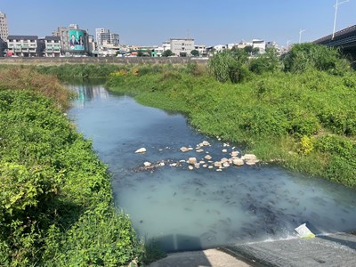 頭汴坑溪下游魚群抬頭