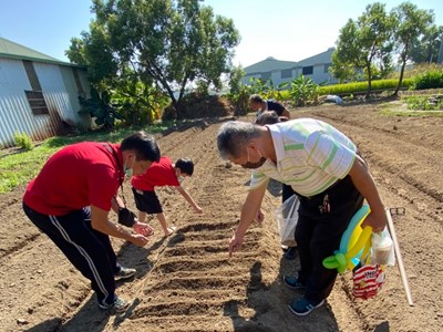 五光社區大小朋友共同於共食農園栽種蔬果