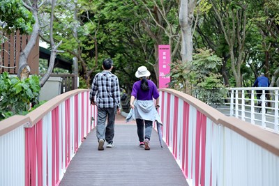 潭雅神綠園道5k+212宮粉二橋