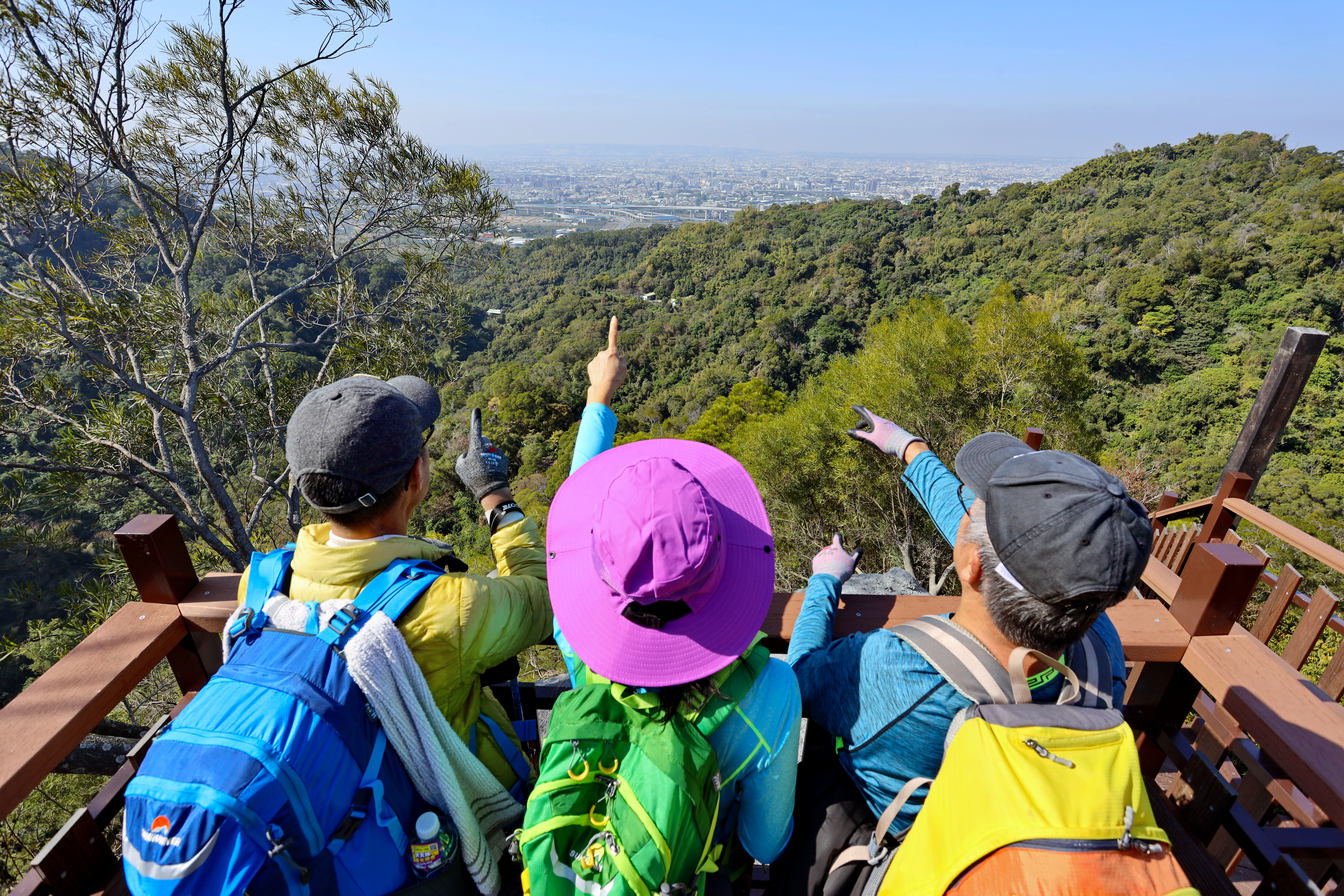 夏季森呼吸   中市觀旅局推薦悠遊登山步道chill行