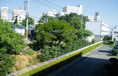 工業區鄰近廠房乙種工業區土地(左-護坡地)案返還出售收入款項訴訟案一審勝訴