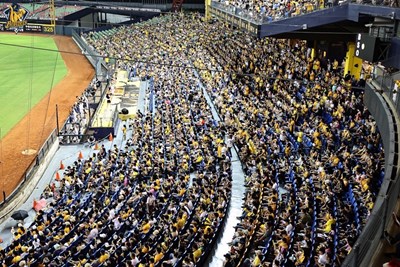 球迷熱情支持「阪神甲子園」主題日(照片來源:中信兄弟)