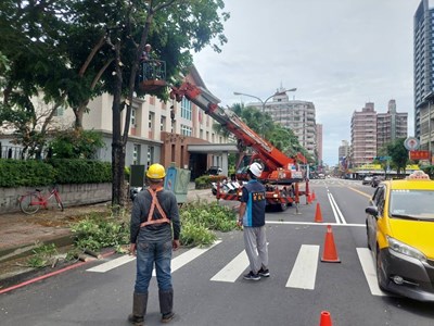 建設局加強路樹修剪與清淤1