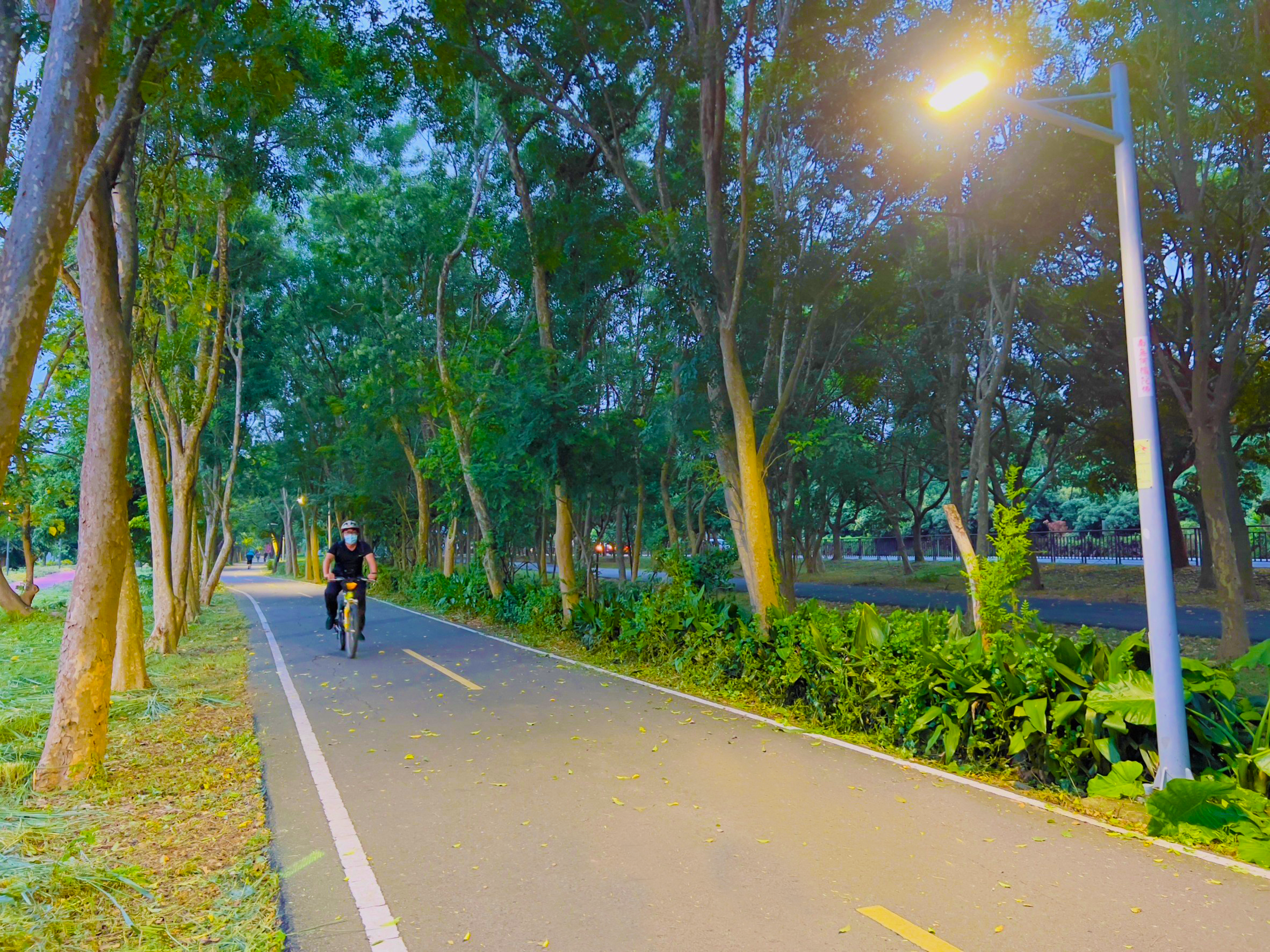 潭雅神綠園道-智慧路燈模擬圖1_0