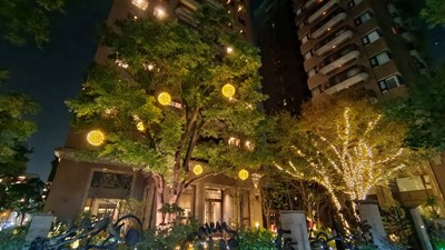 點亮台中!中市府開放行道樹免費懸掛燈飾